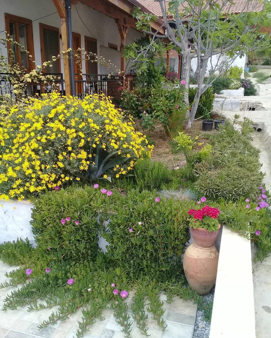 Ionia Guest House Aydin Buitenkant foto
