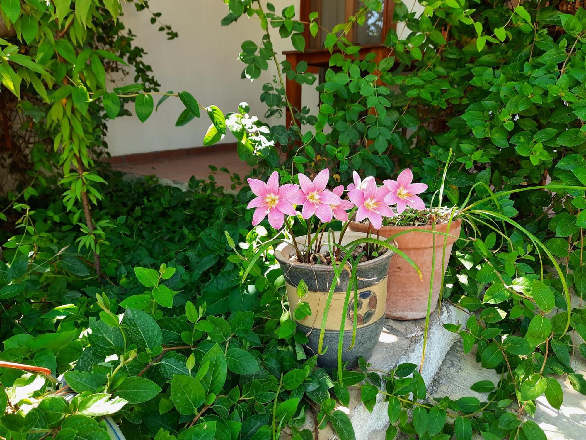 Ionia Guest House Aydin Buitenkant foto