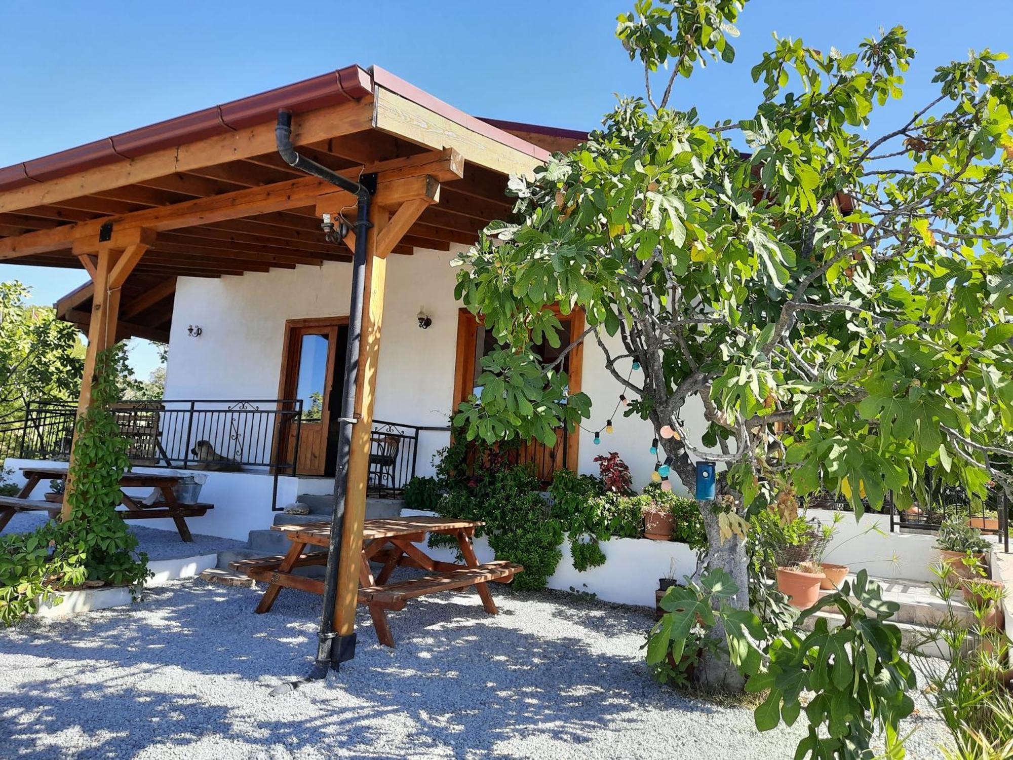 Ionia Guest House Aydin Buitenkant foto