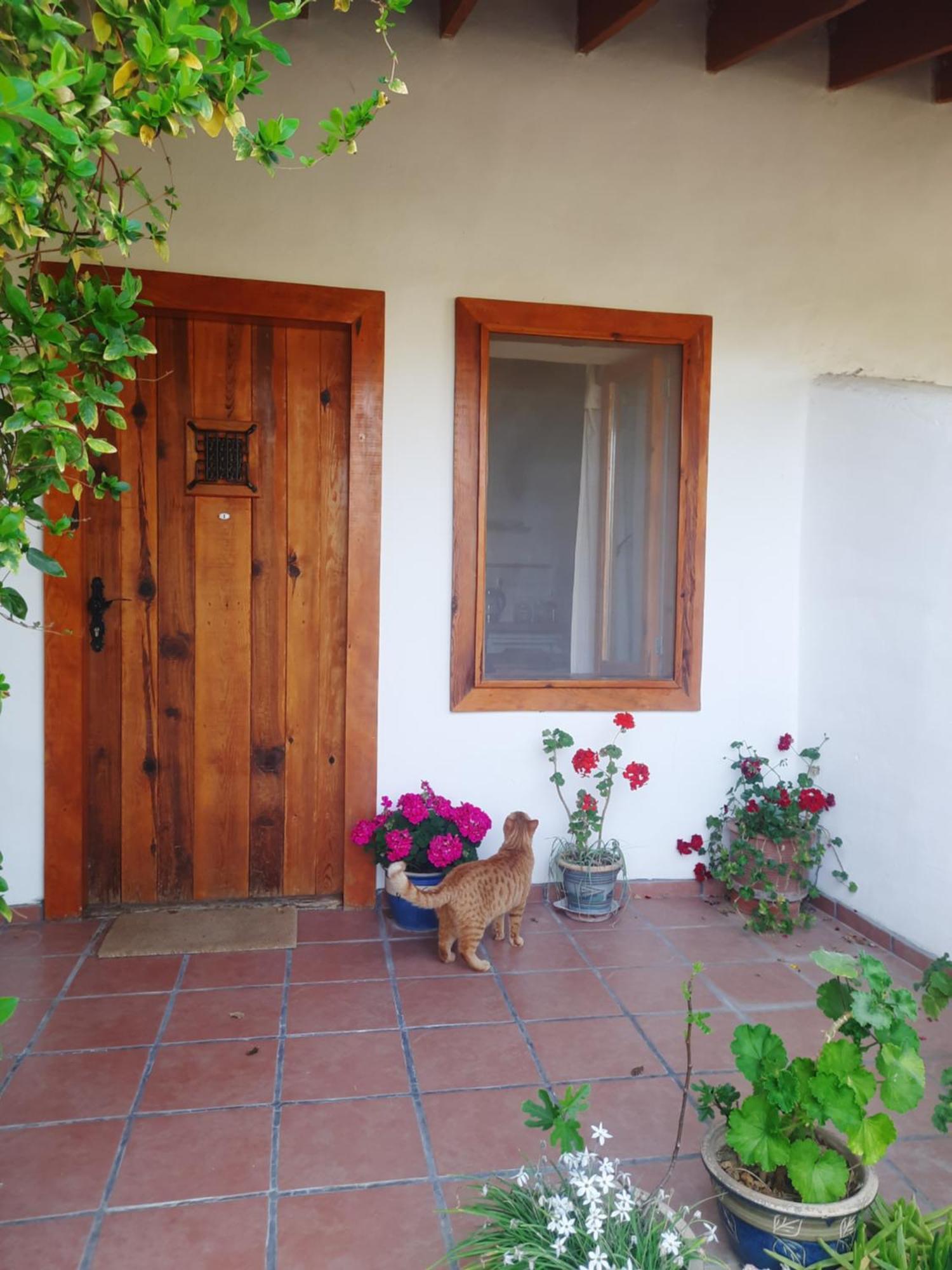 Ionia Guest House Aydin Buitenkant foto