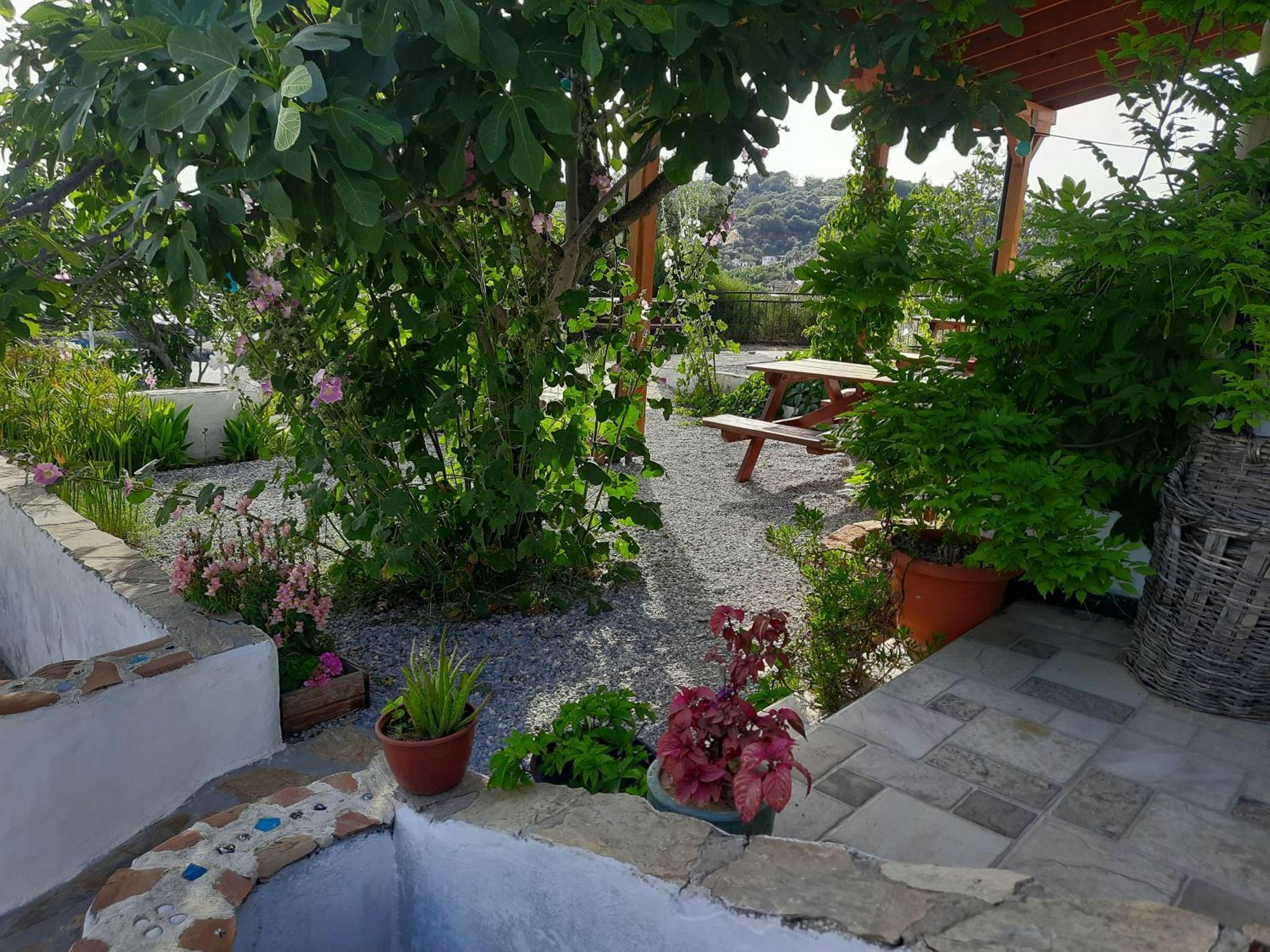 Ionia Guest House Aydin Buitenkant foto