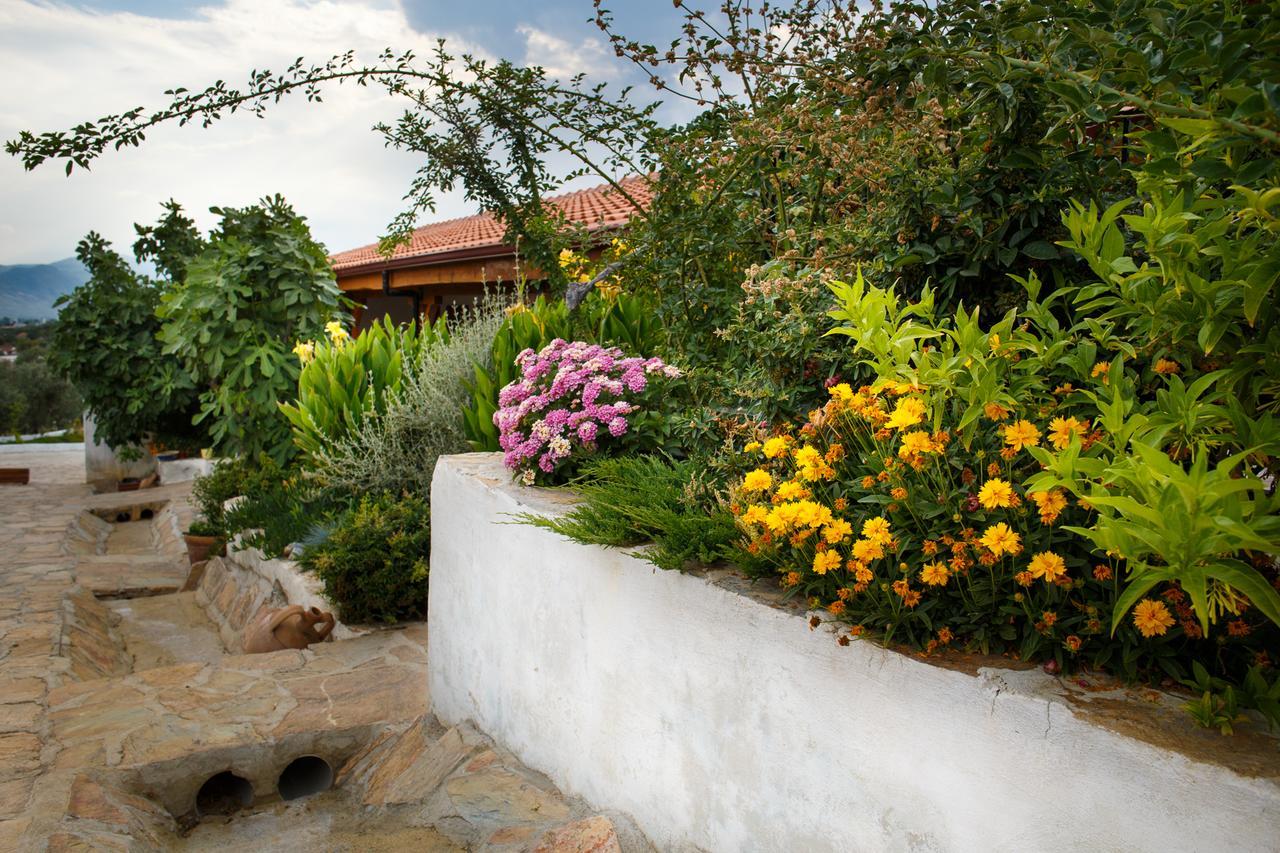Ionia Guest House Aydin Buitenkant foto